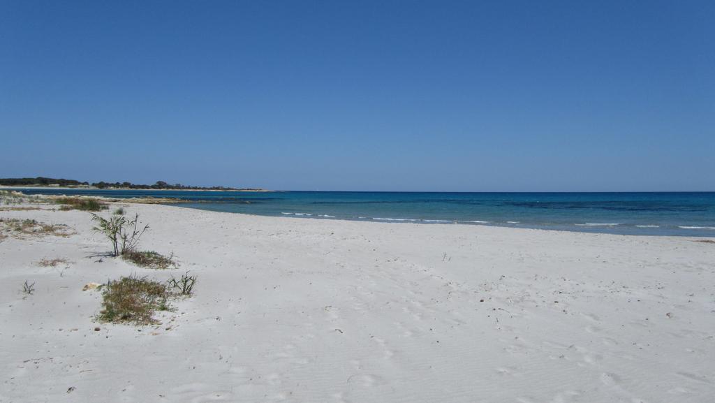 La Corte Degli Ulivi Appartamenti Cala Liberotto Zimmer foto